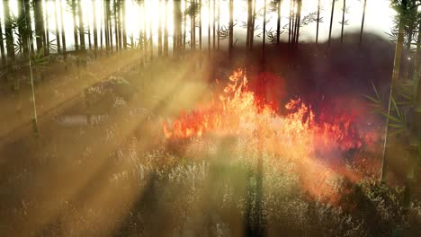 Wind-Weht-Während-Eines-Waldbrandes-Auf-Brennende-Bambusbäume